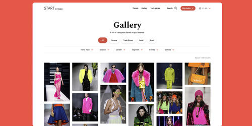 Start by WGSN Experience | 2020